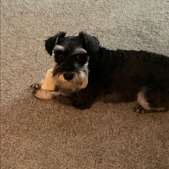 Meet your Posher, James - Picture 1 of 1